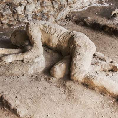 Pompeii and Vesuvius Guided Tour with Skip-the-Line Access & Wine Tasting