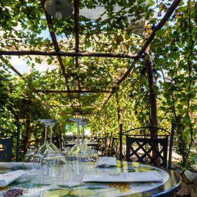Wine Experience at Mount Vesuvius