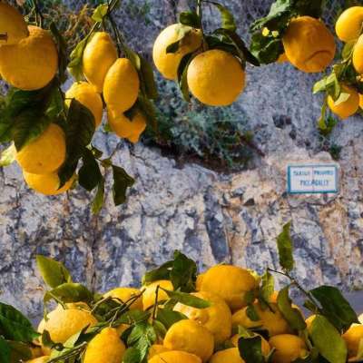 Positano Amalfi Ravello small group tour