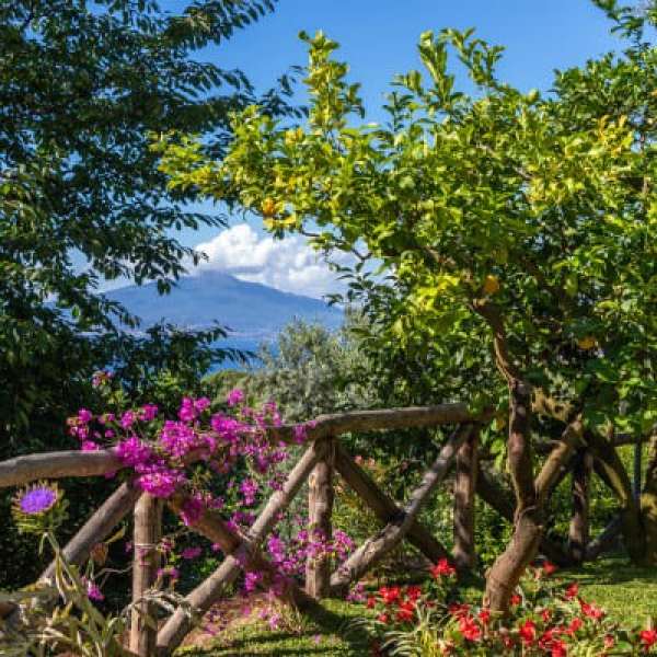 Small-Group Excursions from Sorrento - Blu Welcome Travel